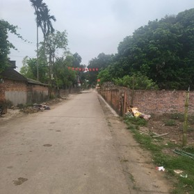 Chính chủ bán 600m2 đất xã Tản Lĩnh, Ba Vì